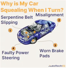 the car squeals when turning due to bad brake pads, faulty power steering, slipping serpentine belt and misalignment