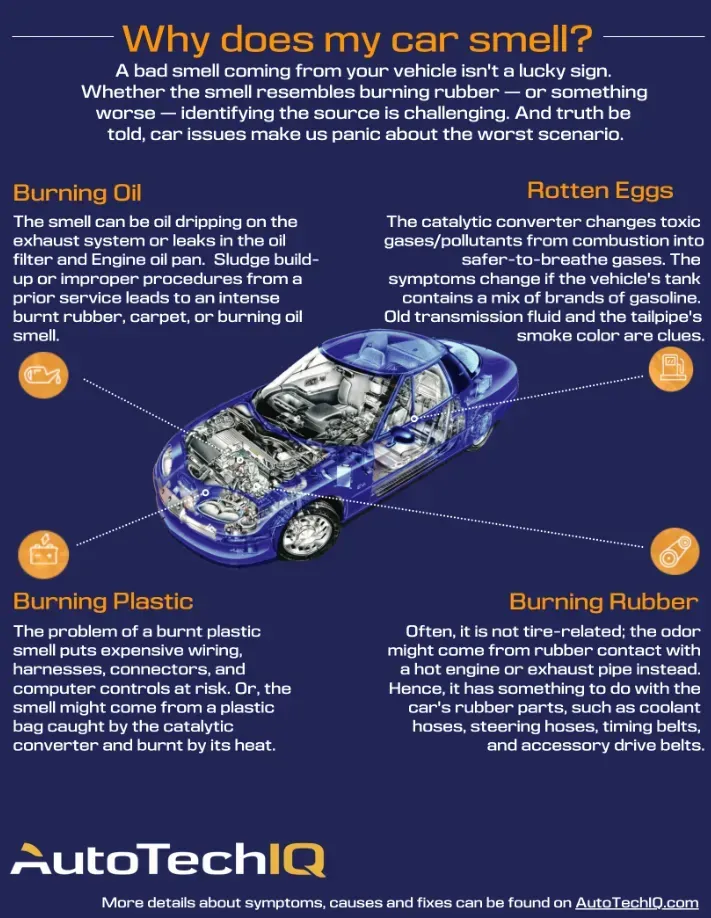 Why Does My Car Smell   Info Graphic