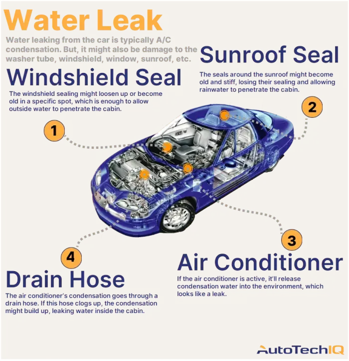 Four common causes for leaking water from the vehicle and their related parts.